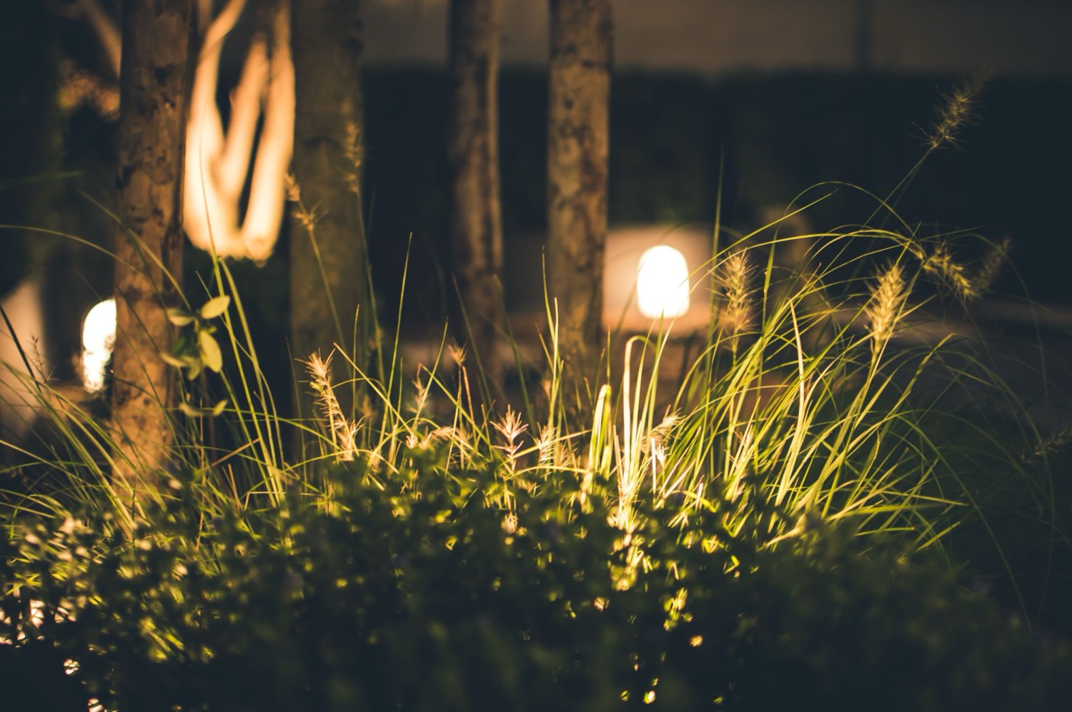 Uplighters on the trees worth looking at and a low wash along the path, zoned so the terrace can be lit without lighting the shed — supplies run in armoured cable and switched from inside.